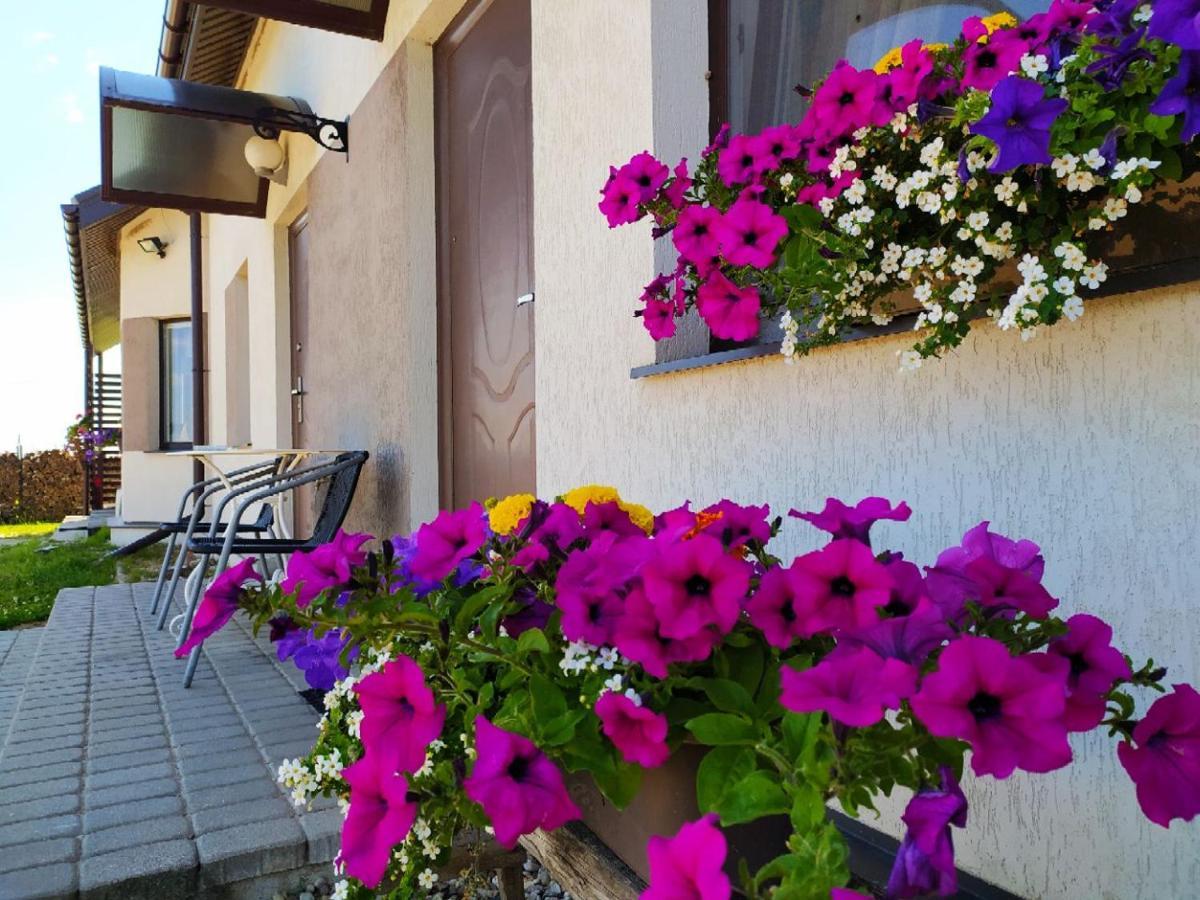 Motel Golden Fox Zelcava Экстерьер фото